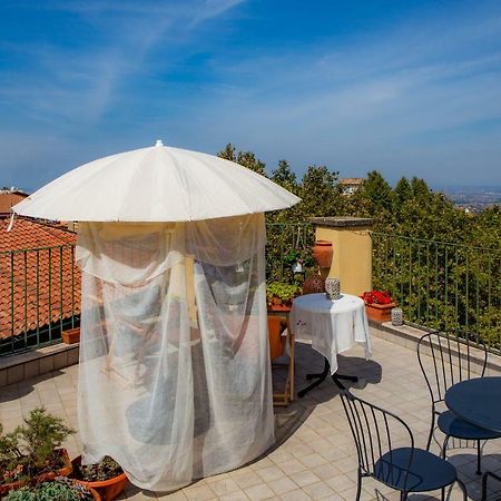 B&B Buonfiglio Cicconcelli - Terrazza Panoramica Frascati Eksteriør bilde