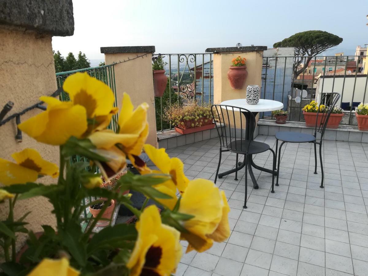 B&B Buonfiglio Cicconcelli - Terrazza Panoramica Frascati Eksteriør bilde